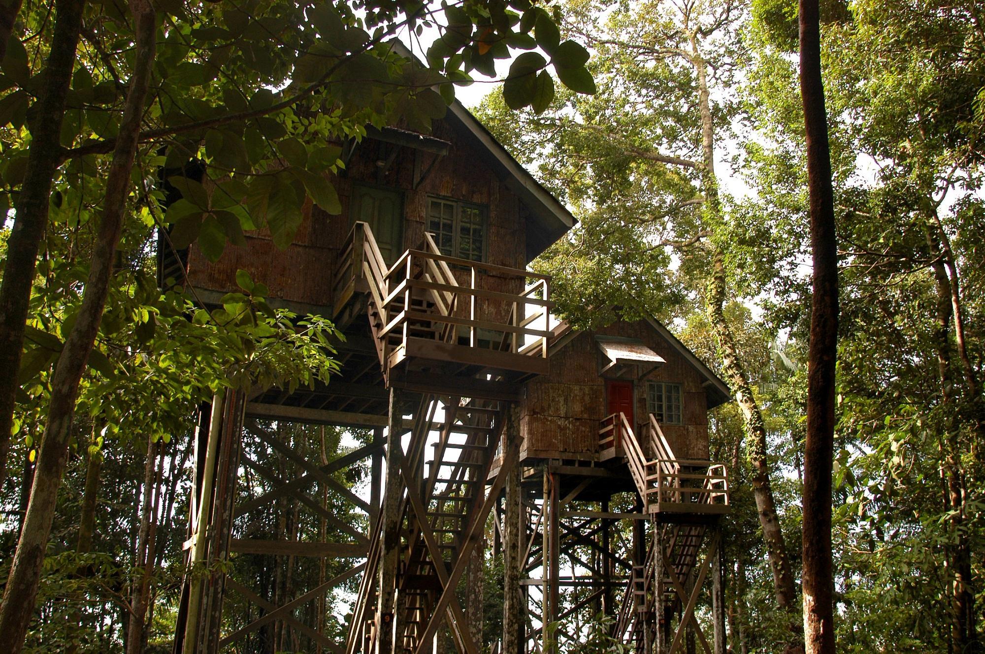 Permai Rainforest 3*
