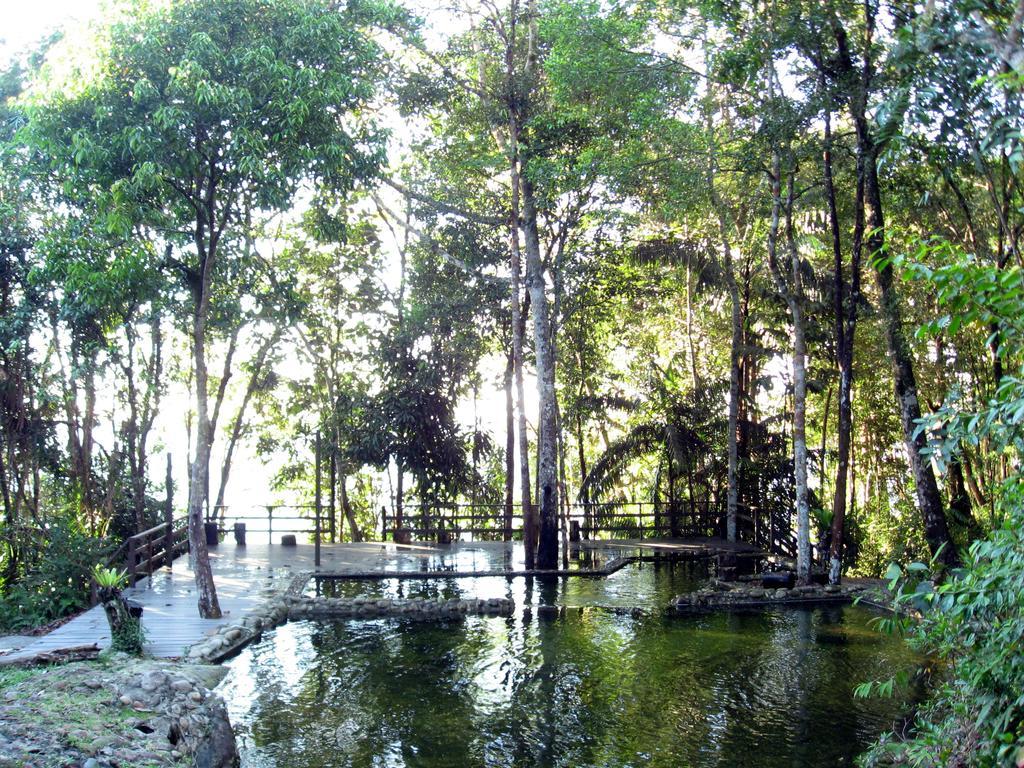Resort Permai Rainforest Santubong
