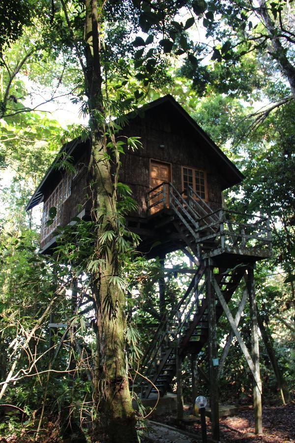 Resort Permai Rainforest