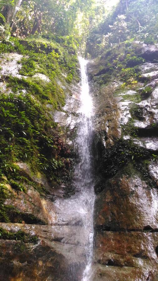 Resort Permai Rainforest