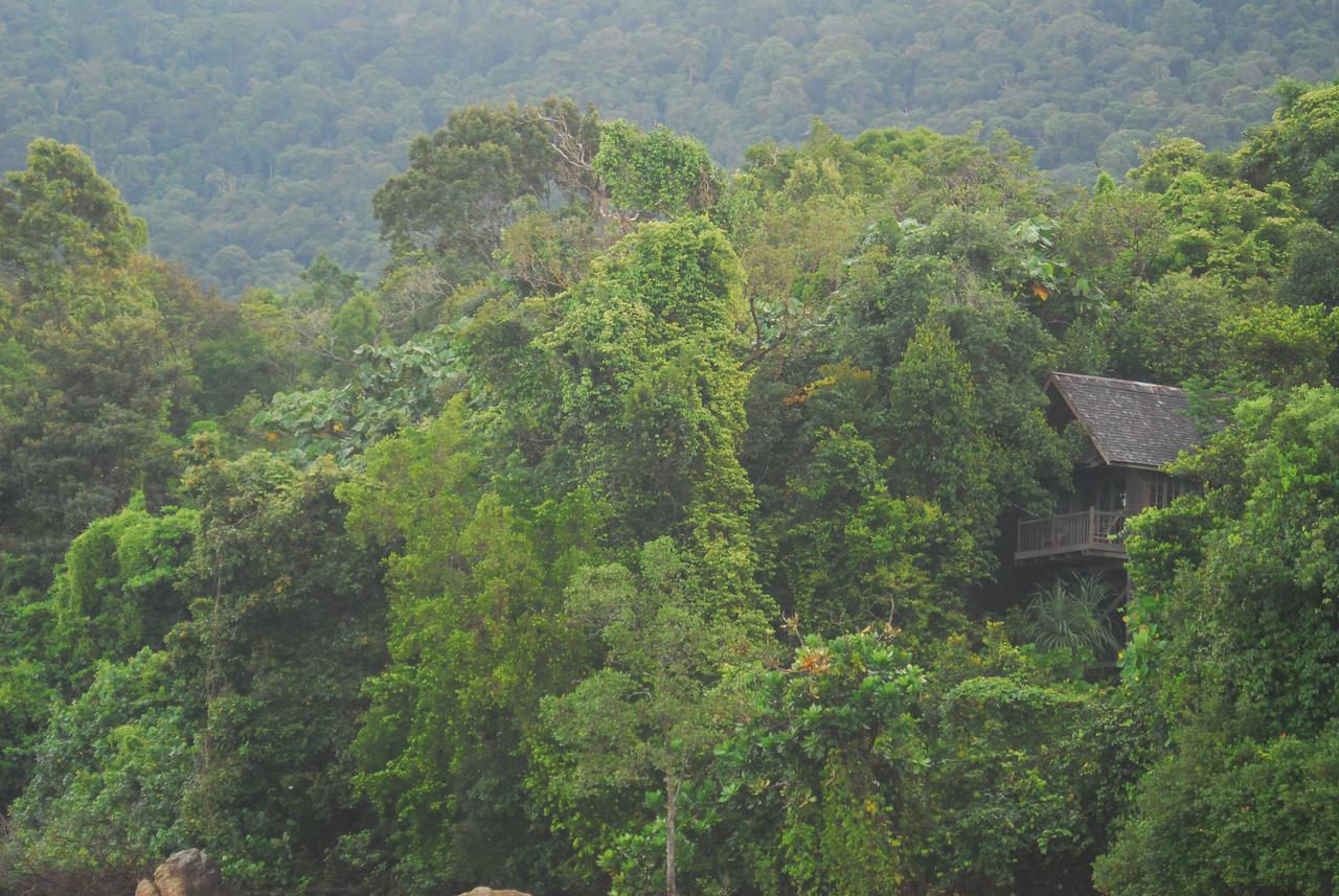Permai Rainforest Santubong